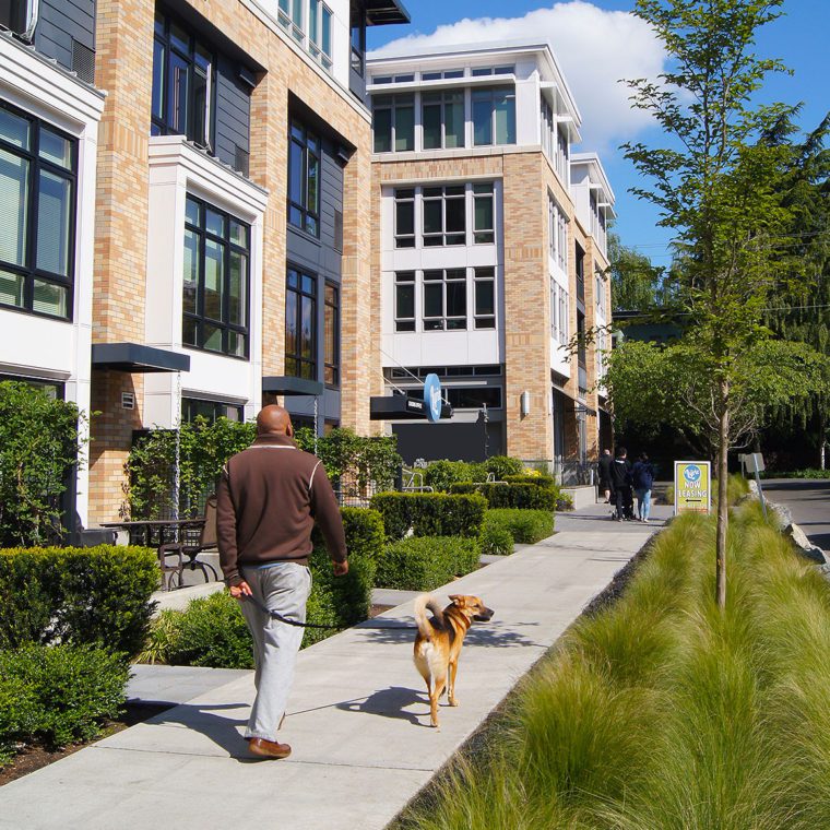 The Lyric Apartments