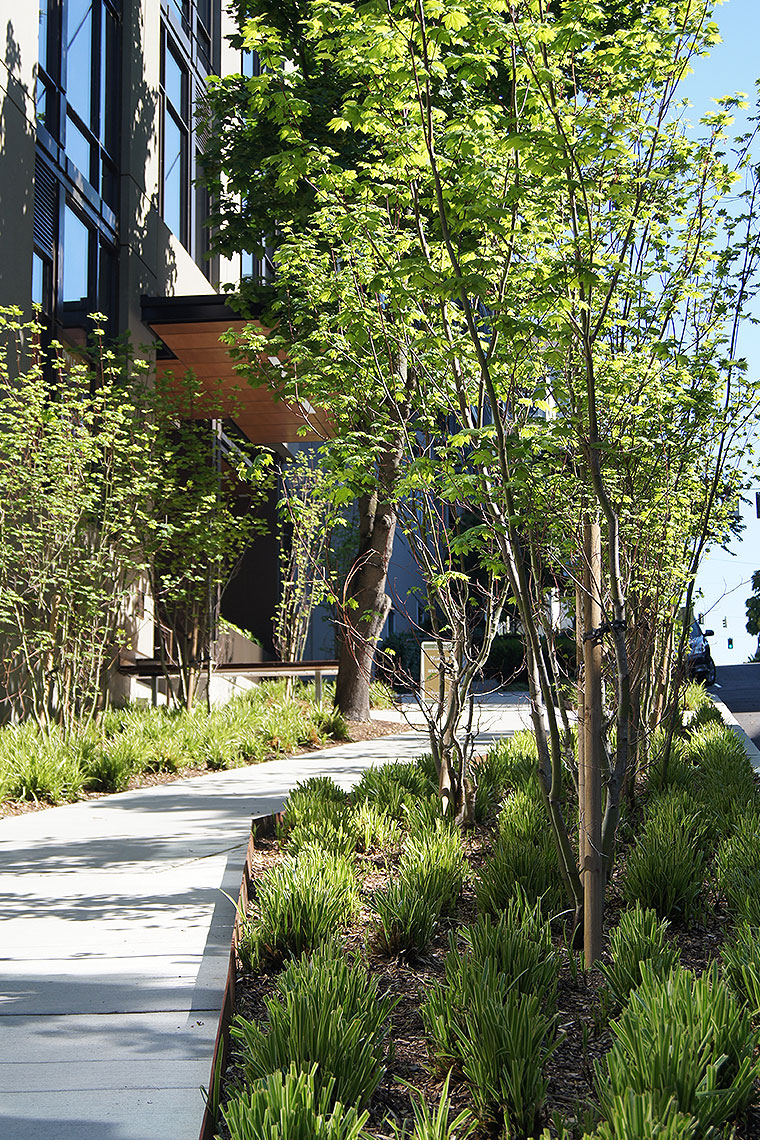 Joseph Arnold Lofts