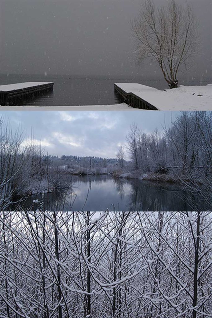 Vertical-portrait-Magnuson-Park-Snow