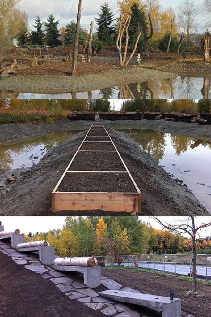 Vertical-portrait-Magnuson-Shore-Ponds-Construction