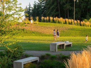 Redmond Central Connector