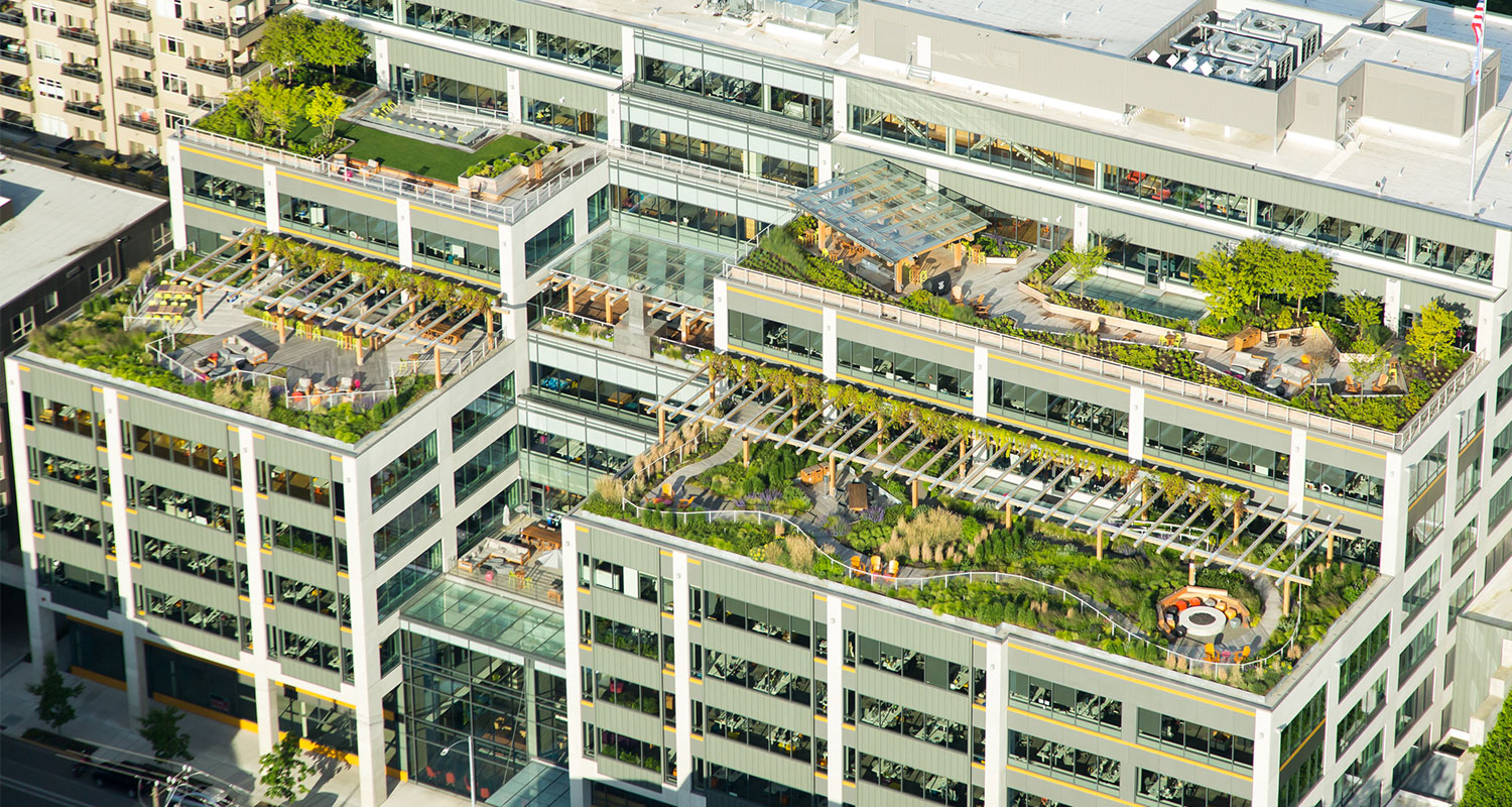 Dexter Station Roof Gardens