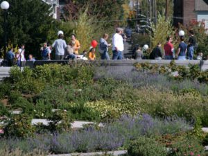 Cal Anderson Park