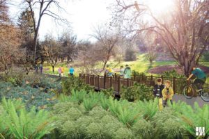 Washington Park Arboretum