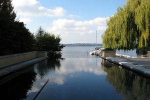 Lake Washington Residence