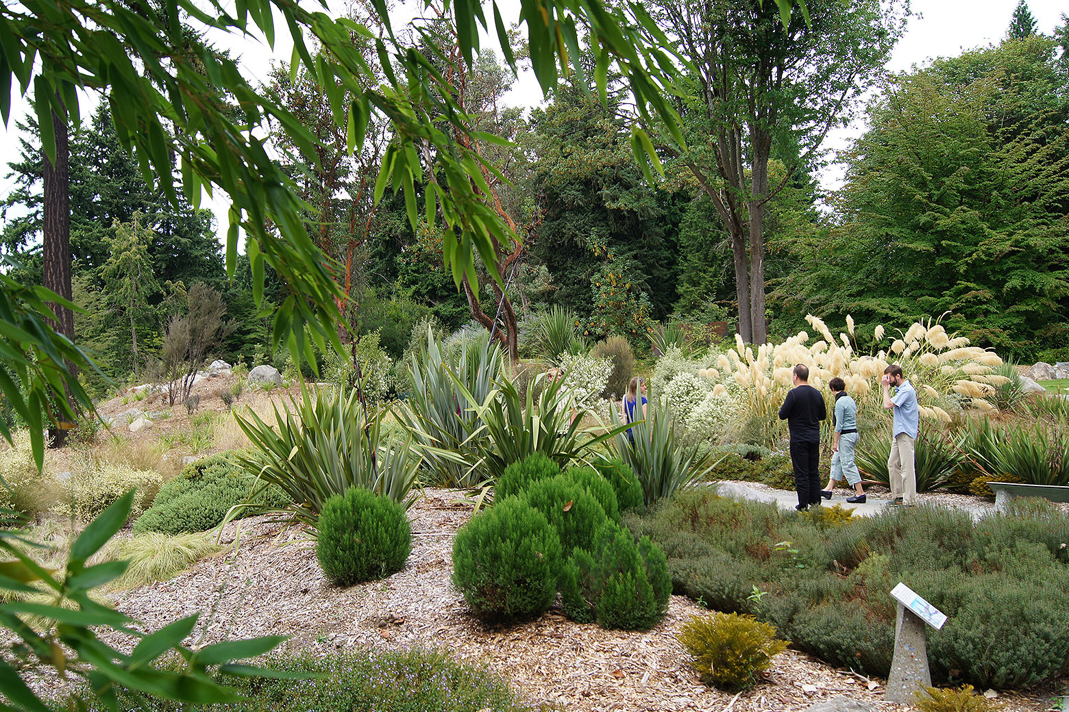 Washington Park Arboretum