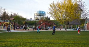 Maple Leaf Park