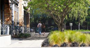 The Lyric Apartments