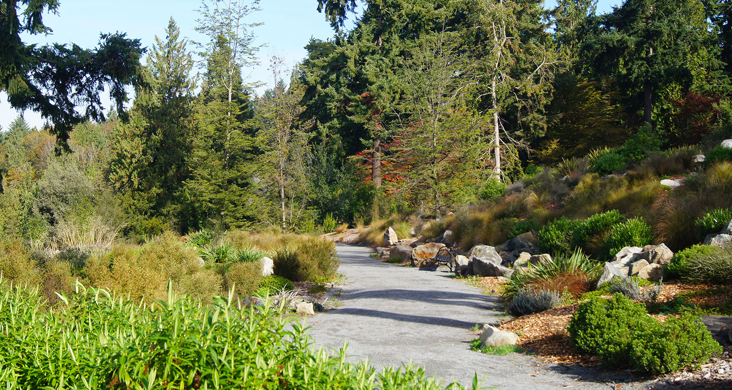 Washington Park Arboretum