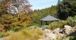 Washington Park Arboretum
