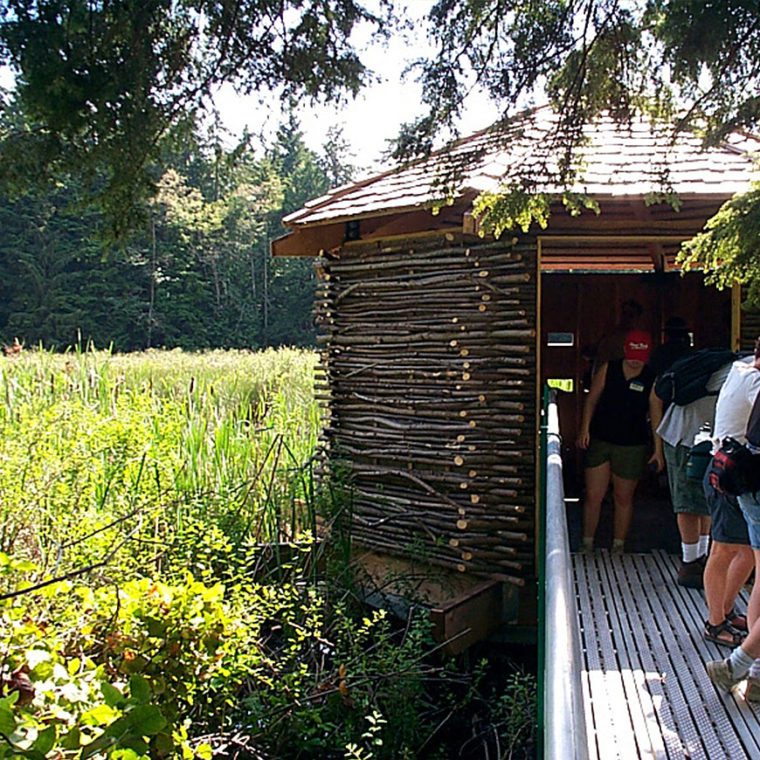 IslandWood, a School in the Woods