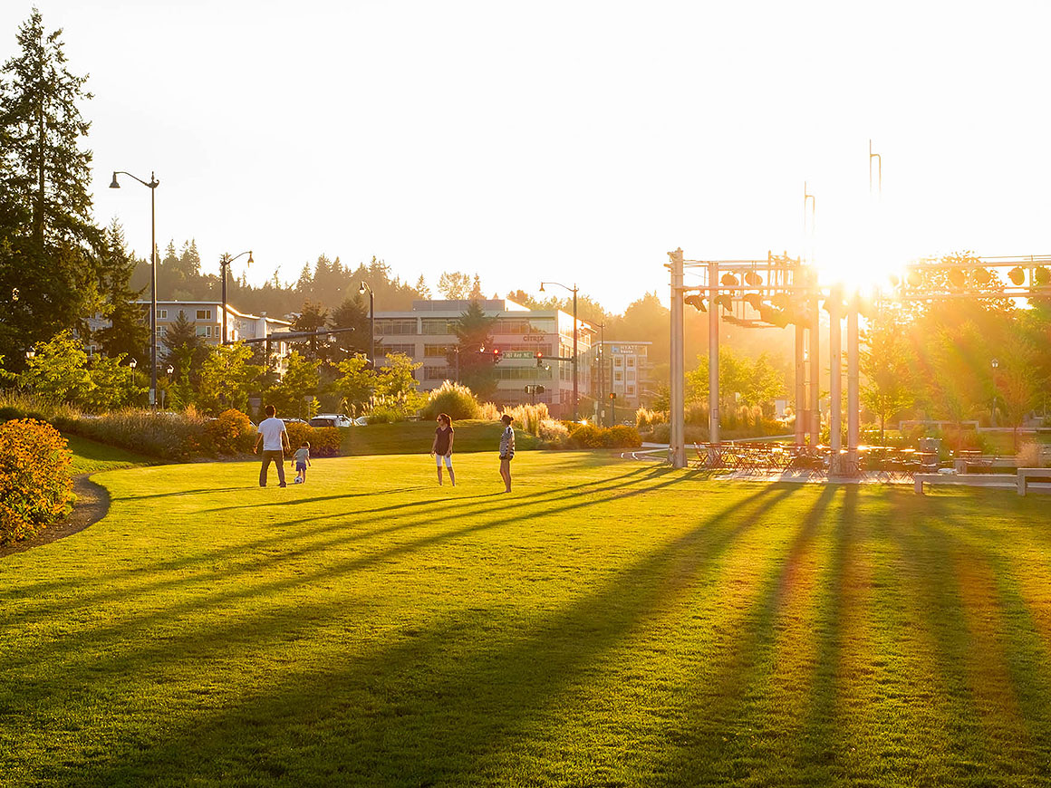 Redmond Central Connector