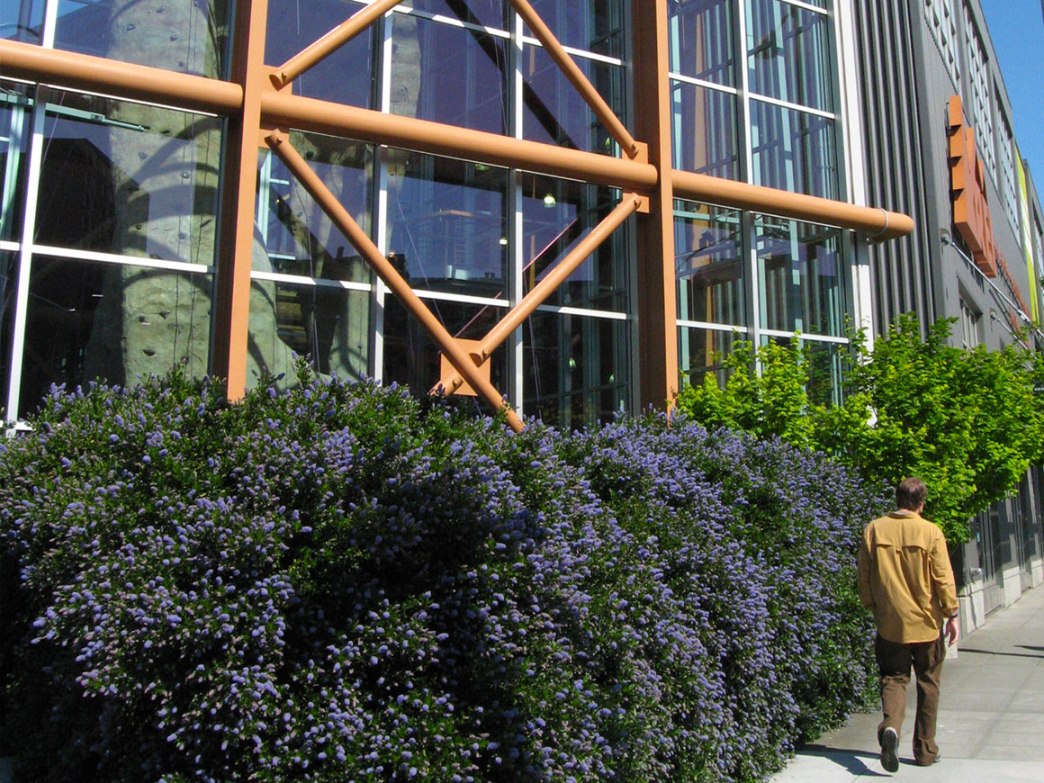 REI Flagship Store