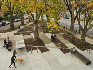 McGilvra Place Park
