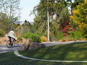 Washington Park Arboretum