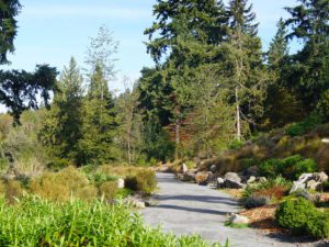 Washington Park Arboretum