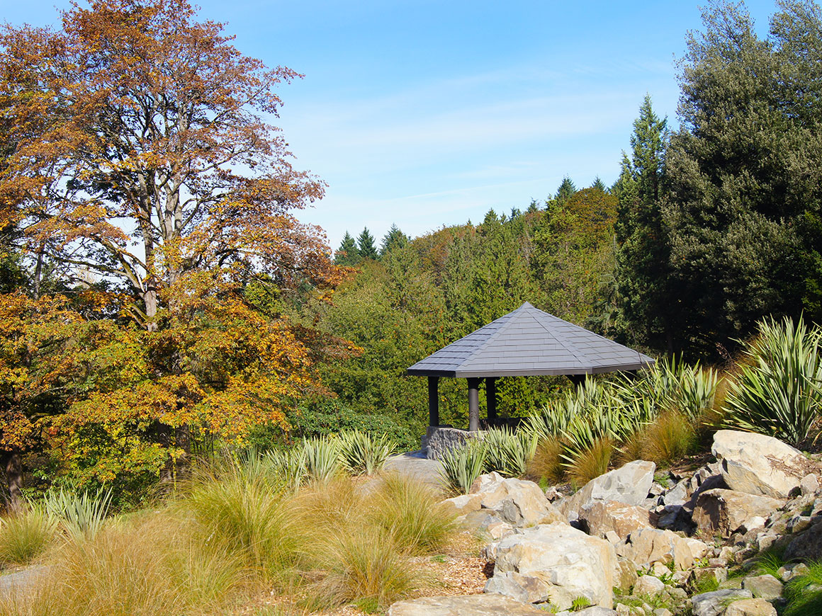 Washington Park Arboretum