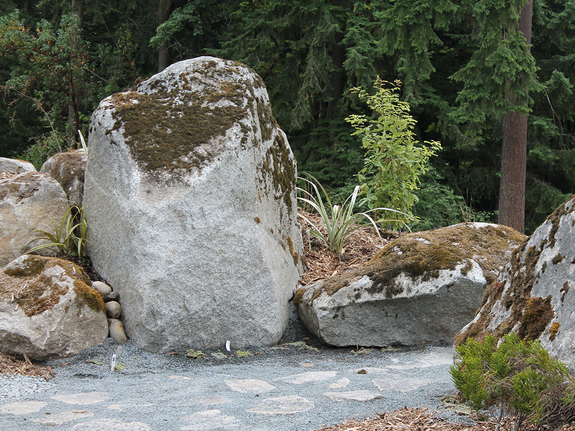 Washington Park Arboretum