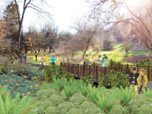 Washington Park Arboretum