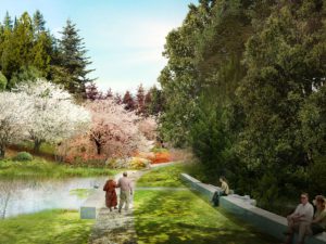 Washington Park Arboretum