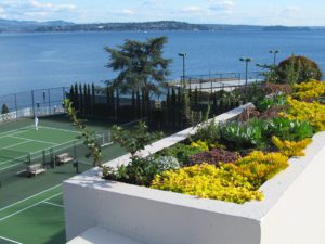 Seattle Tennis Club