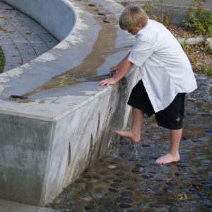 Adams Elementary Rain Garden