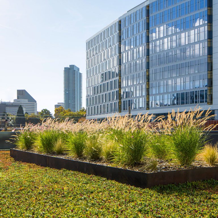 Block 45 - Berger PartnershipBerger Partnership