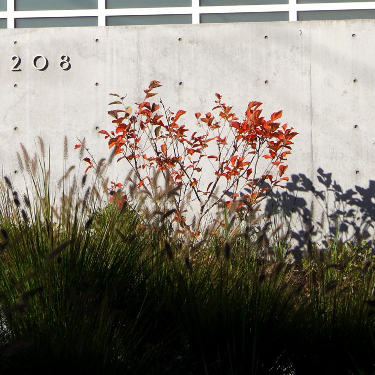 Cantilever House