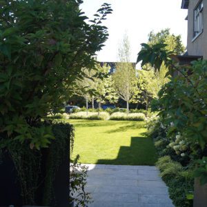 Capitol Hill Residence