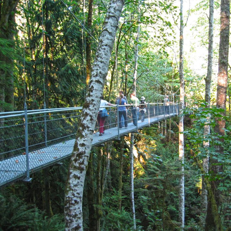 IslandWood, a School in the Woods