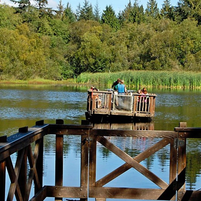 IslandWood, a School in the Woods