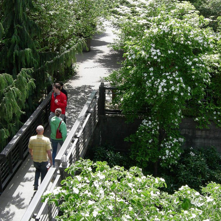 REI Flagship Store