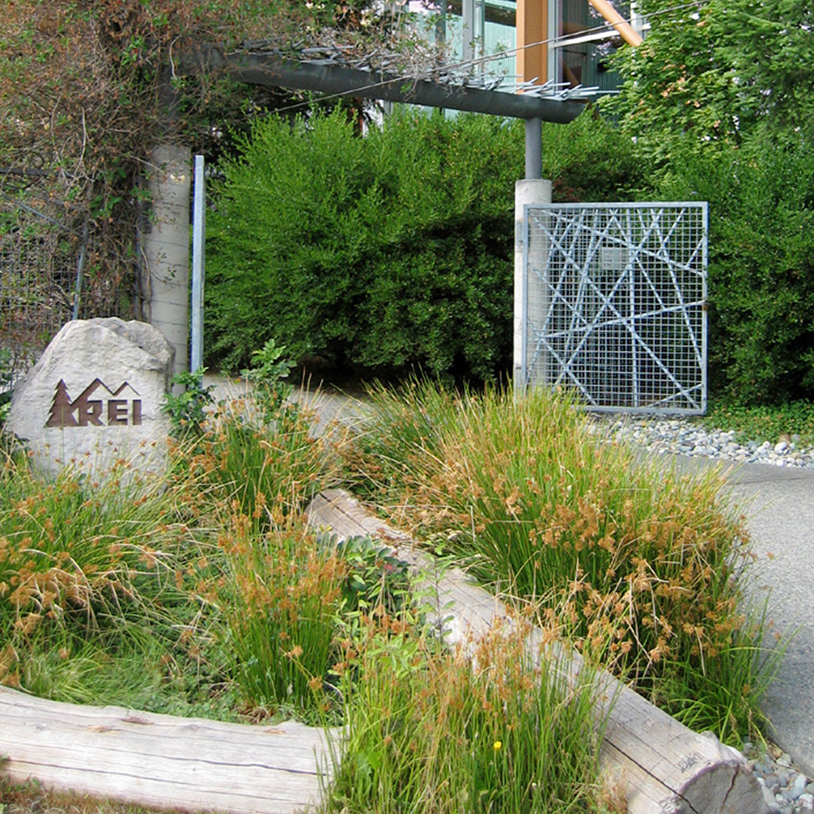 REI Flagship Store