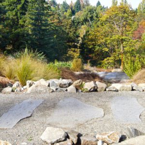 Washington Park Arboretum
