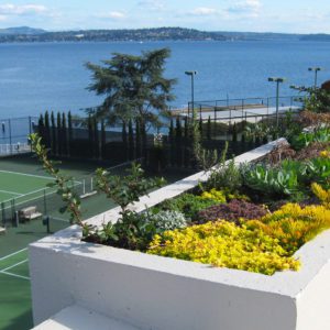 Seattle Tennis Club