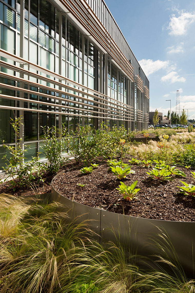 Clover Park Technical College Allied Health Building