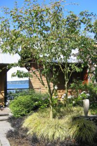 Inn at Langley