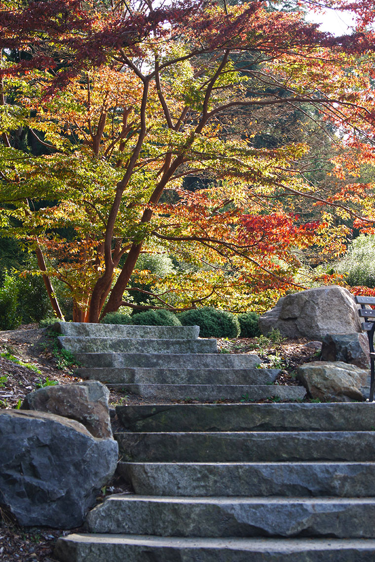 Washington Park Arboretum