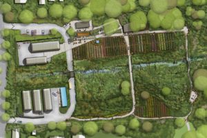 Rainier Beach Urban Farm & Wetland