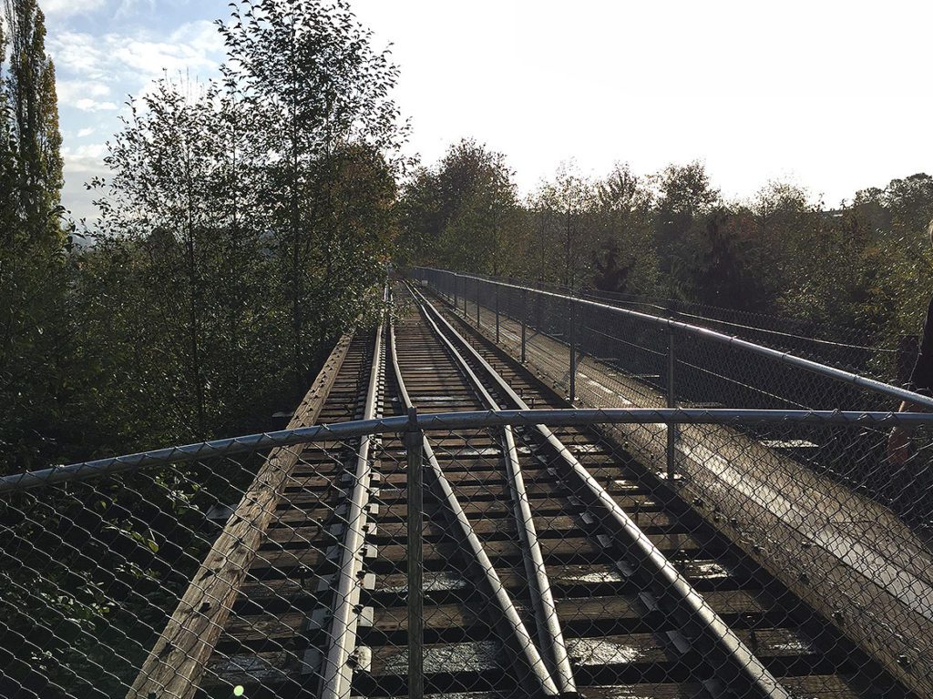 activities-section-sammamish-trestle-11