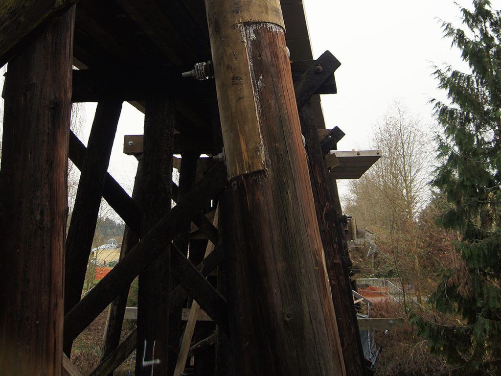 activities-section-sammamish-trestle-3