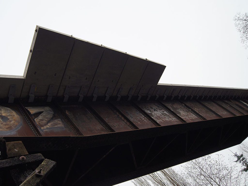 activities-section-sammamish-trestle-4