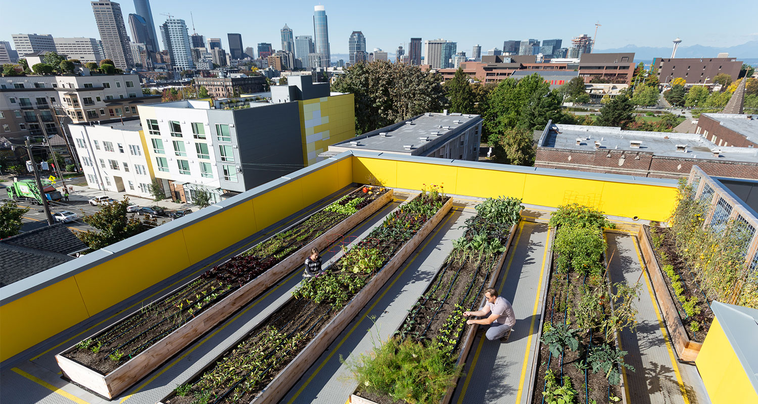 Capitol Hill, Urban Co-Housing, Urban Farming, Multifamily