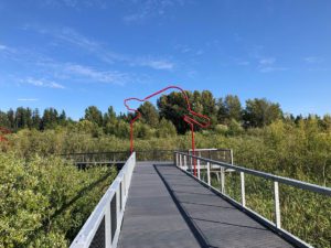 Totem Lake Park Boardwalk