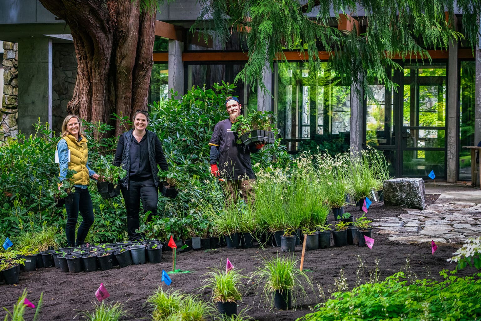 Studio - Berger PartnershipBerger Partnership