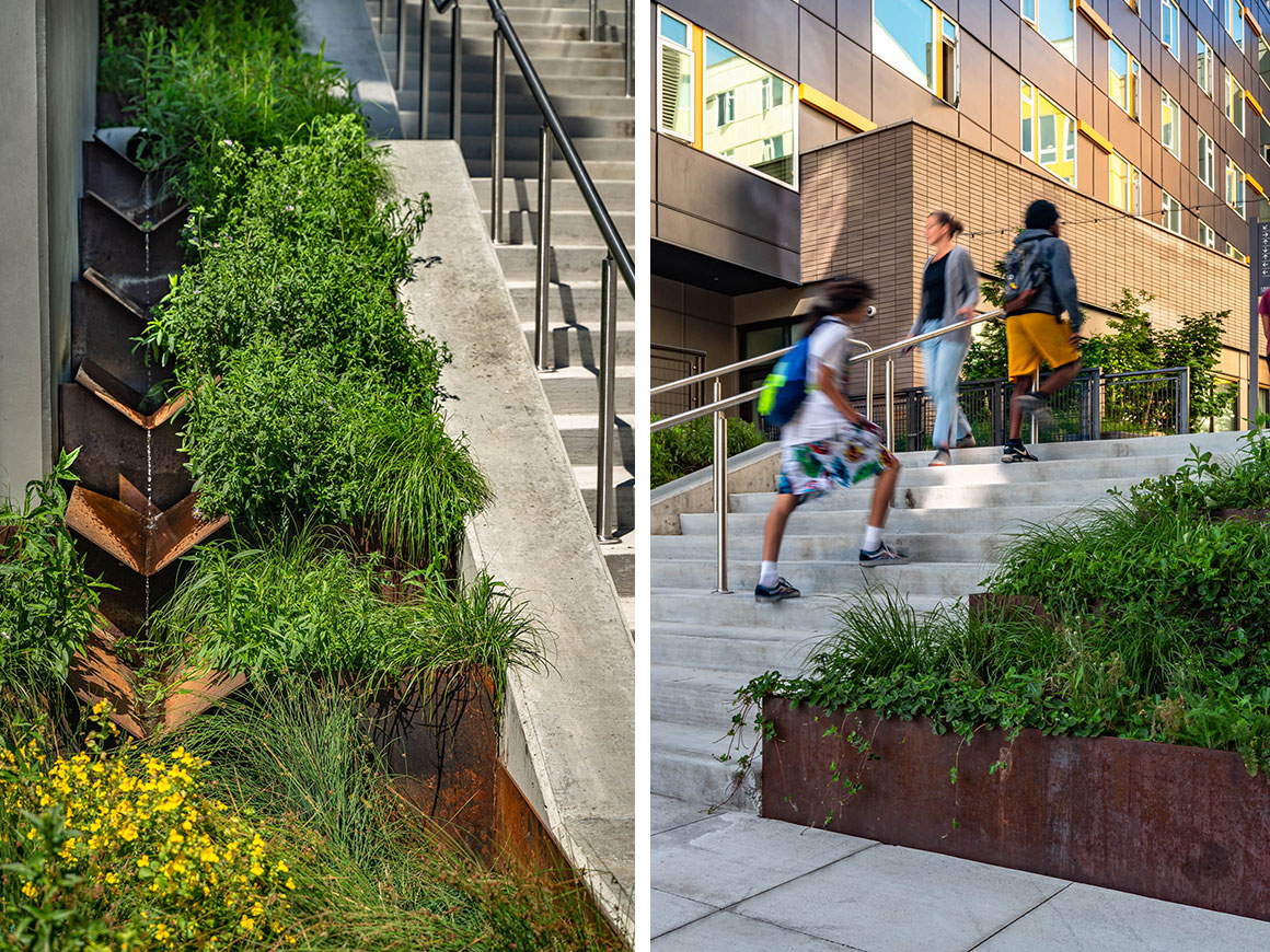 Cedar Crossing Receives 2024 WASLA Honor Award - Berger ...