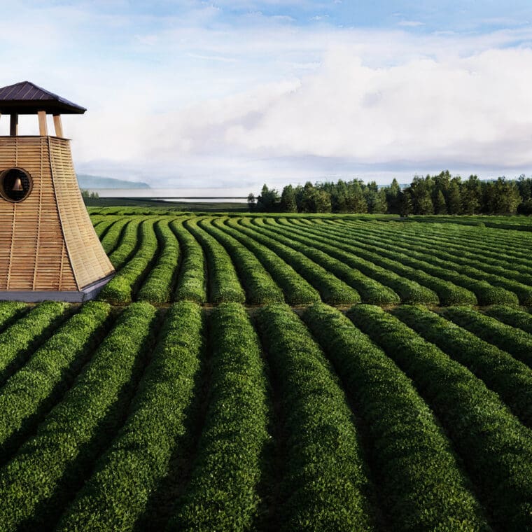 view of tower in tea field
