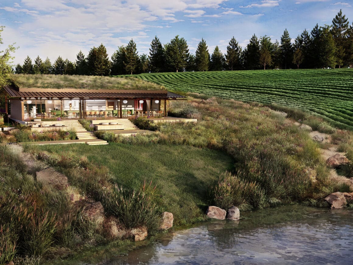Tea tasting room in field